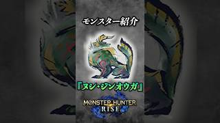【解説】モンハンライズ最強と言われたヌシモンスター『ヌシ・ジンオウガ』 #モンハン #モンハンライズ #モンハンライズサンブレイク #まーぼー #解説