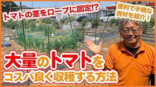 動画でご紹介