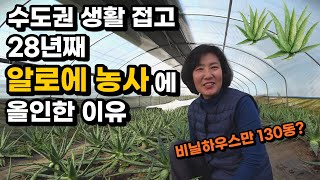 연매출 19억 알로에 농장을 만든 부부의 놀라운 판매방법. 서민갑부 출연 농부 [알로에 농사] 2부