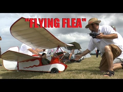 FLYING FLEA: COSFORD LMA MODEL SHOW 2014