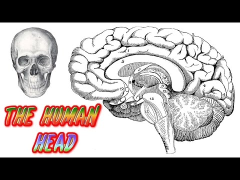 Feel All The Feels Finale Ending - Grey's Anatomy special senses | X- MAX Pro | 16/04/2017/ HD 1280p