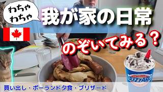 カナダの家族ってこんな感じ?買い物から晩ごはんまで、わちゃわちゃな、ごく普通すぎる日常|国際家族|日加 Our Everyday Life | Japanese-Canadian Family