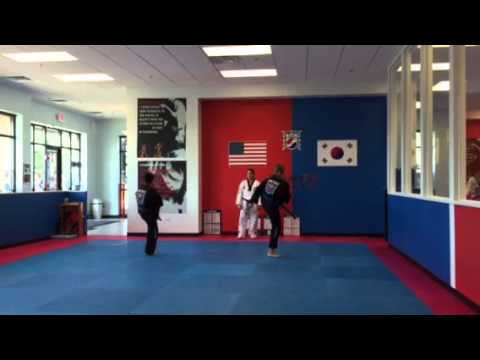 Taekwondo