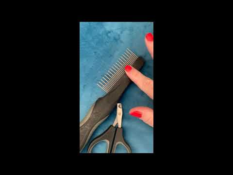 Grooming tools - Cuddleton British Shorthairs