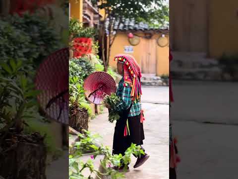 天体観察者に注目: ドイツの 5 つの場所で天の川を最高の眺めで楽しむことができます