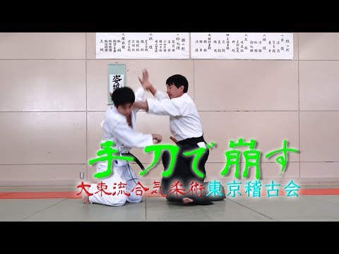 東京稽古会272　手刀で崩す　大東流合気柔術