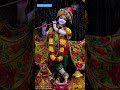 Hari Dukh Harta Hari Sukh Karta ️ Shreekrishna Status Status Youtubeshorts