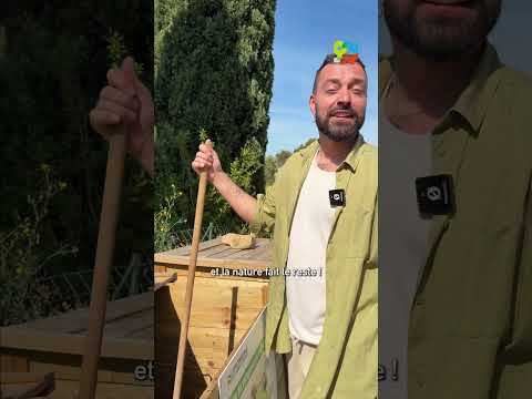 🤔 Le compostage, c’est quoi ? Comment ça marche ? On vous dit tout ! 🌿