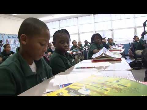 TLAC Field Guide 2 Clip 27