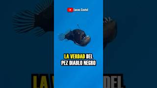 CASO RESUELTO del PEZ DIABLO NEGRO que APARECIO en ESPAÑA #pezdiablo #shorts