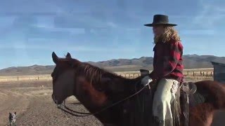 Run Boys Run | Adrian Buckaroogirl