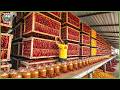 Inside China’s Massive Spice Industry – 21.7 Million Tons Harvested & Processed Every Year