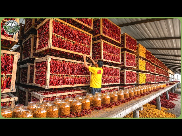 Inside China’s Massive Spice Industry – 21.7 Million Tons Harvested & Processed Every Year