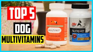 ✅Top 5 Best Dog Multivitamins in 2024