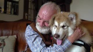 John Lewis 2020 Christmas Advert Alternative by NimbusBeds.co.uk | Stop Loneliness at Xmas