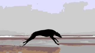 Pale Blue - One Last Cowbell