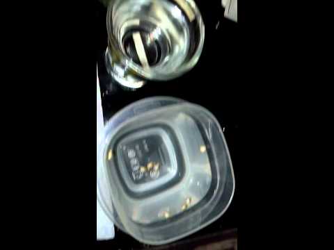 og and bubba kush seedling germination