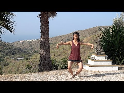 Qigong for the Fire Element: Nourishing Practices for Body, Mind and Spirit