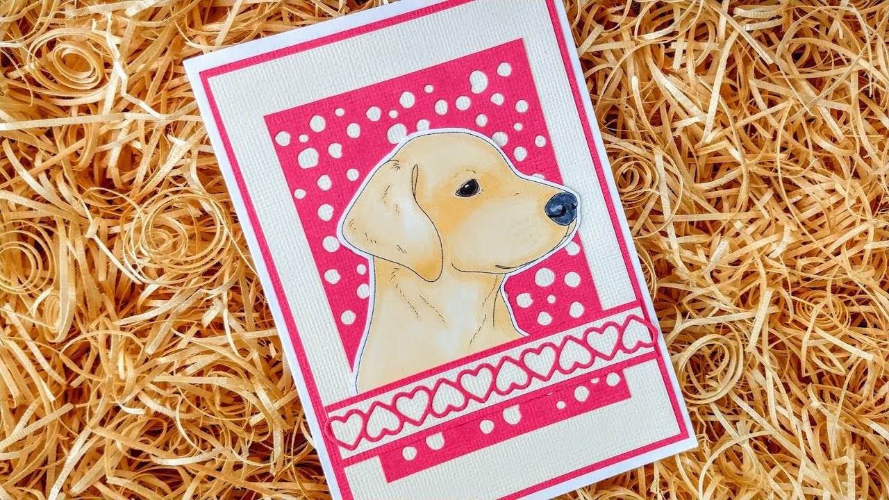 Colouring Labrador