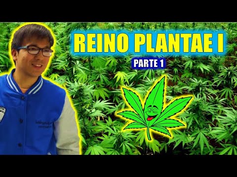 [ FREE BIOLOGY ] - PLANT KINGDOM I (Part 1)