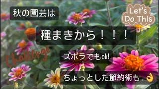秋の種まき🍂ズボラでもできる種まき&節約術🫶