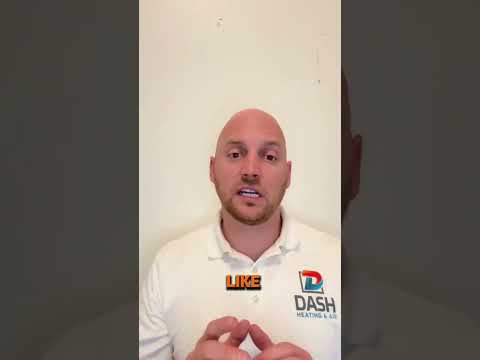 Dash project video
