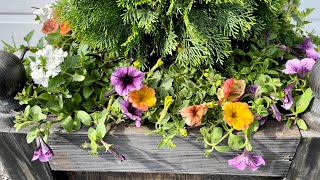 Summer Containers Combinations | EverCrest