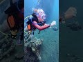 Suunto Ocean Dive Computer Suunto Deepblue Underwater Seaanimal Suuntowatch Suuntoocean