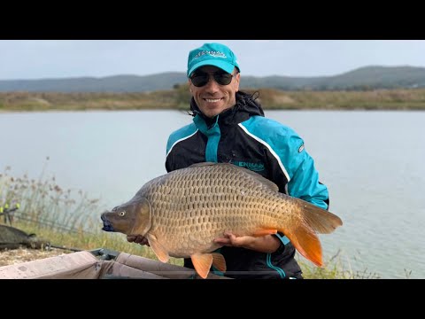 Over 10 la Purcareni Lake