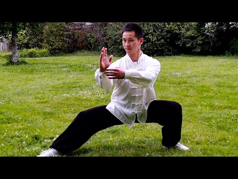 Tai Chi 42 Tutorial 四十二式太极拳
