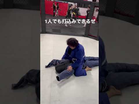 ダミーくんと柔術打込み#shorts