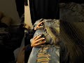Uncle Terry Patented Foot Massage