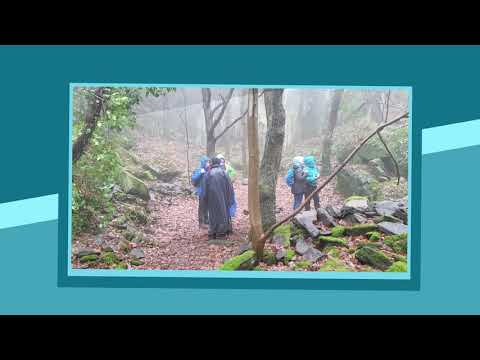 Von Rhöndorf zum Kloster Heisterbach.