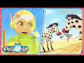 DOUBLE ZEBRA RESCUE PETRONIX Defenders Full Episode