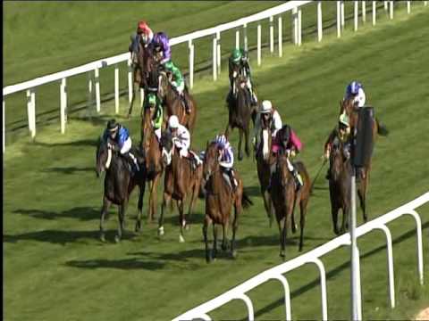 Galopprennbahn Dresden - 07.05.2016 - 7.Rennen