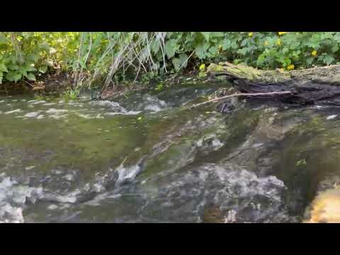 2024.05.01. Szecsői Ürgés Tanösvény@Tápiószecső