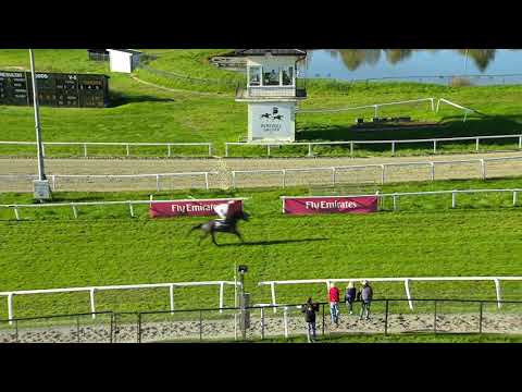 2017.10.08 Norsk Kriterium (NOR) - Queen Estoril