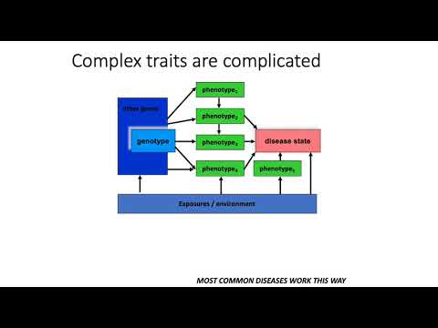 MCB 182 Lecture 12.2 - Mendelian versus complex trait genetics