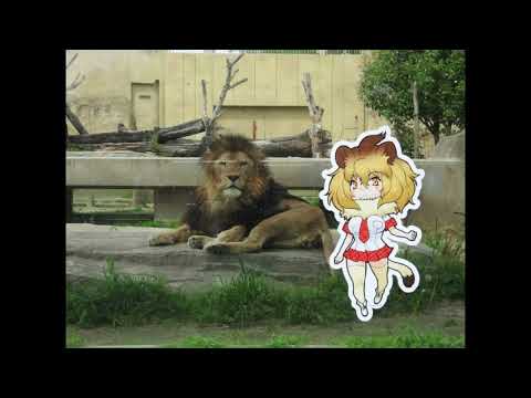 Video thumbnail for Jungle King II