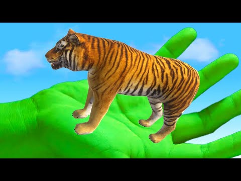 Tiny Tiger VS Giant Hulk | Battle Simulation