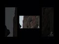 Baby Bird Jumping From Cliff Baby Bird Flaying Dream On