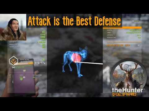 Attack is the Best Defense theHunter Call of the Wild