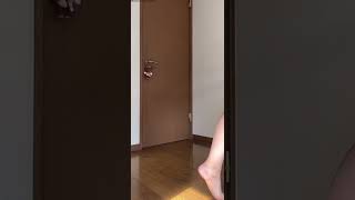 【TikTok】ショーパンしか勝たん。