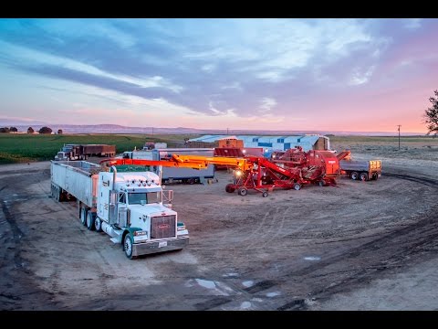 4 Row Potato Harvest with John Deere, Spudnik Equalizer and AirSep