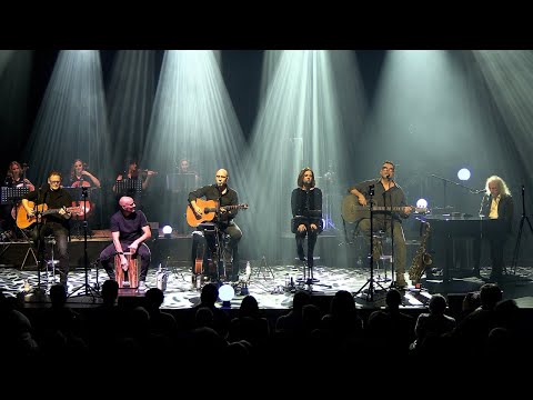 Wish you were here - PULSE | Acoustic Side of the Moon