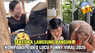 Download lagu KERBAU NYA PINTER BANGET KALO NEMU YANG BENING🤣‼️ KUMPULAN VIDEO LUCU FUNNY VIRAL 2026‼️ mp3