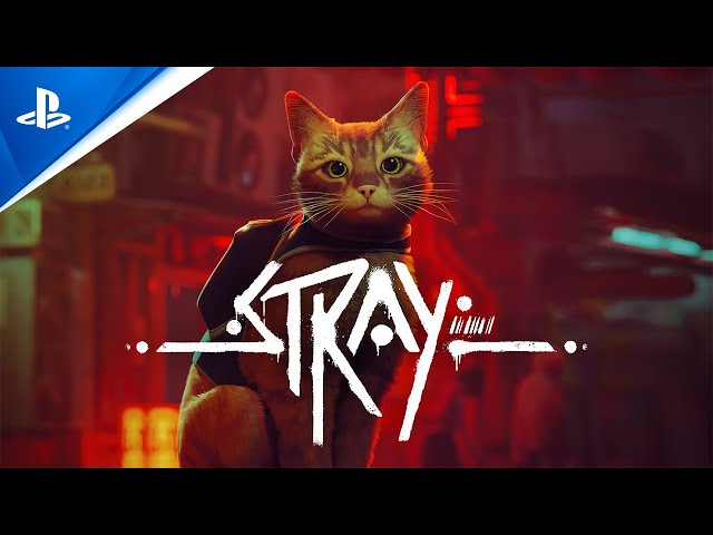 INCREDIBLE!!! I TESTED STRAY on XBOX SERIES X with BOOSTEROID 