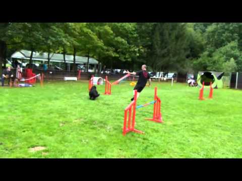 2014-08-30 VDH Konz Uwe mit Viva A1