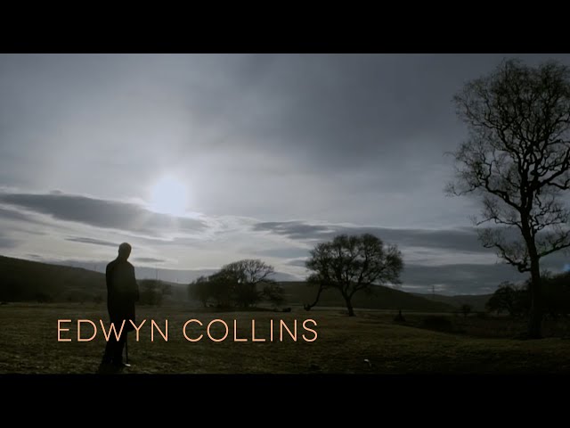  It All Makes Sense To Me  - Edwyn Collins