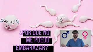 Infertilidad | ¿Por qué no me embarazo | Dr Ego